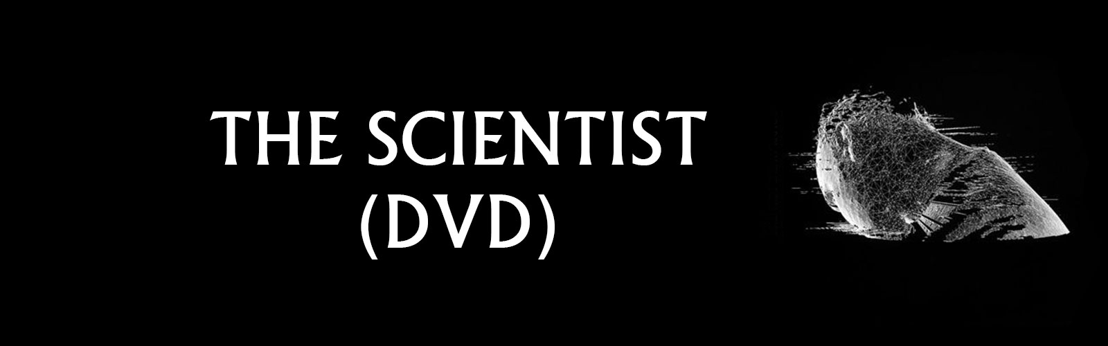 the scientist dvd
